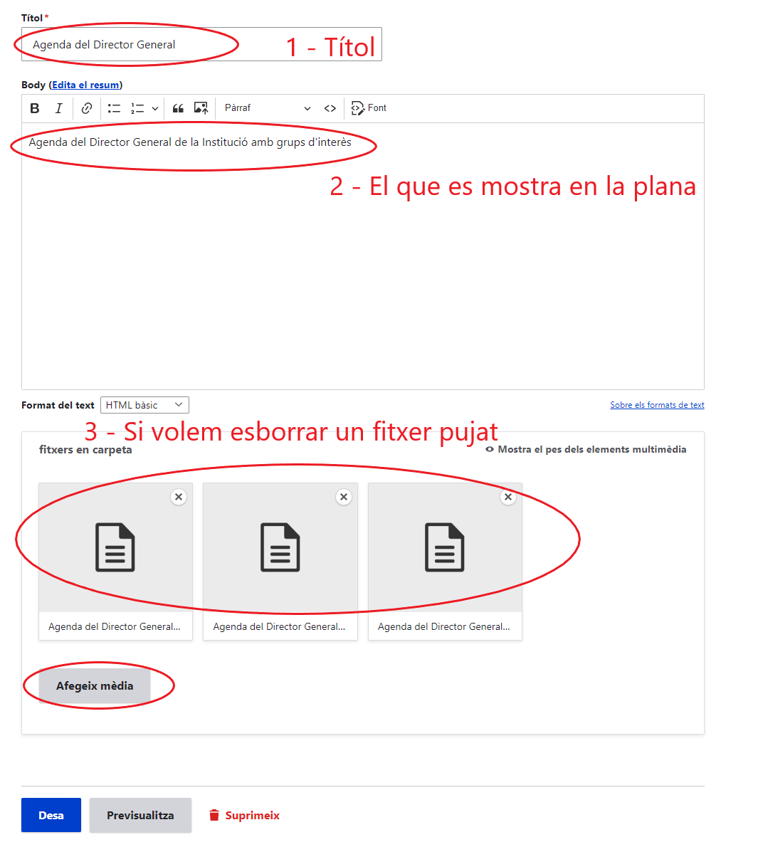 Plana en tot el contingut